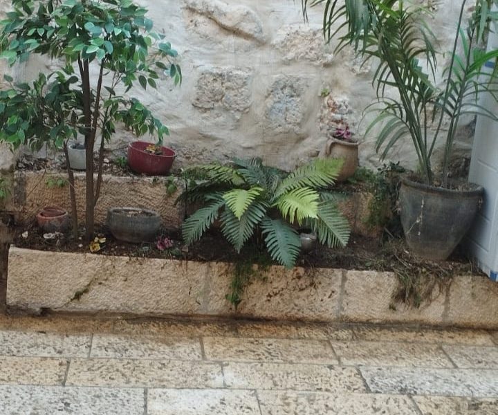 דירה, הרובע היהודי, העיר העתיקה, ירושלים