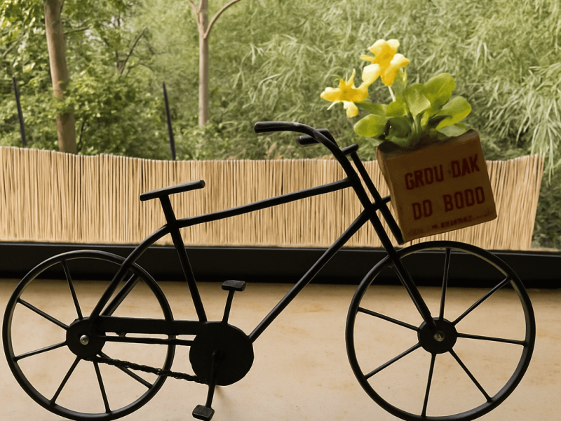 הבית בעתיקה, צפת