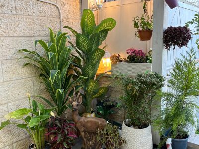 דירת גן נקייה ומשופצת עם נוף וחצר, בית וגן, ירושלים