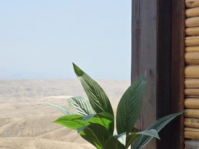 יחידת אירוח יפיפיה, מצפה יריחו, אזור ירושלים