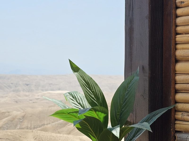 יחידת אירוח יפיפיה, מצפה יריחו, אזור ירושלים