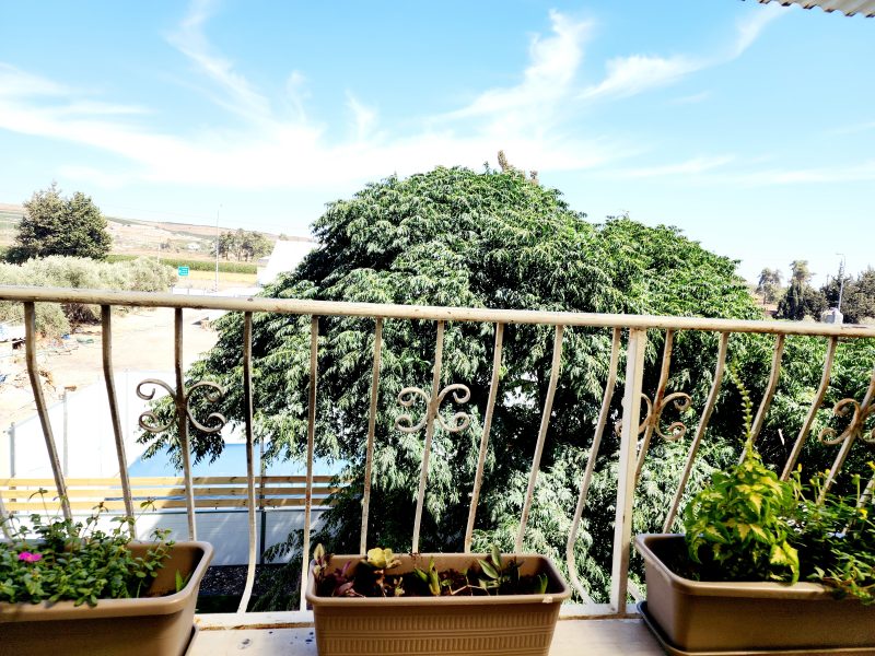 2 דירות אירוח, מושב ספסופה - 2 דק' ממירון.