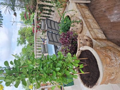 וילה מפוארת ומטופחת בנתניה, סמוך לחוף הנפרד + יחדה נפרדת