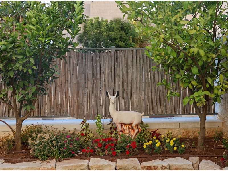 דירת גן, נווה הפסגה, פסגת זאב, ירושלים