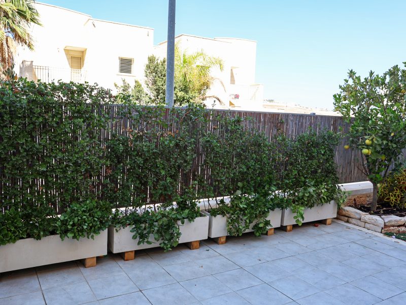 דירת גן, נווה הפסגה, פסגת זאב, ירושלים