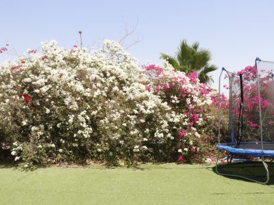 וילת נופש מדהימה, קרוב לירושלים, ביישוב מצפה יריחו