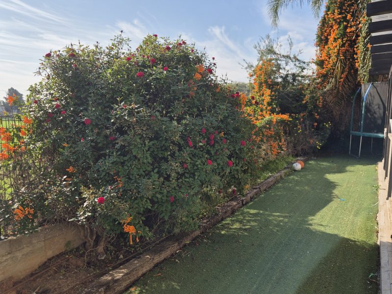 וילה ענקית יפיפיה, בית חלקיה