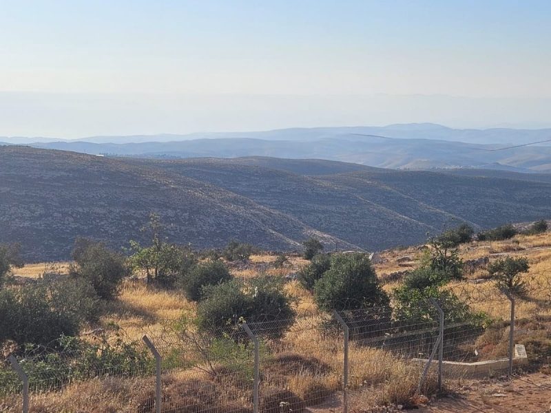 צימר "שירת הציפורים" לשבת במיצד — ג'קוזי וחצר פרטית