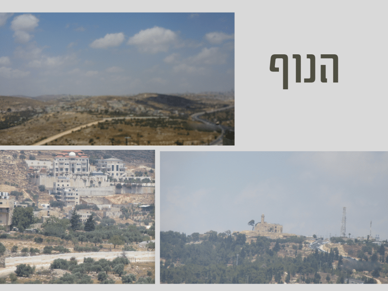 דירת 4 חדרים ברכה ענקית ונוף מדהים של ירושלים והסביבה, רמת שלמה.