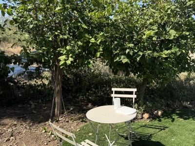 דירה לשבת בשלומי — בית כנסת מעל הבית ובריכה צנועה