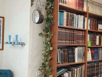 דירת גן לשבת בהר חומה, ירושלים — גינה ירוקה וחצר מרווחת