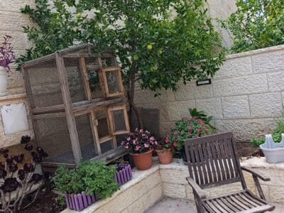 דירת גן לשבת בהר חומה, ירושלים — גינה ירוקה וחצר מרווחת