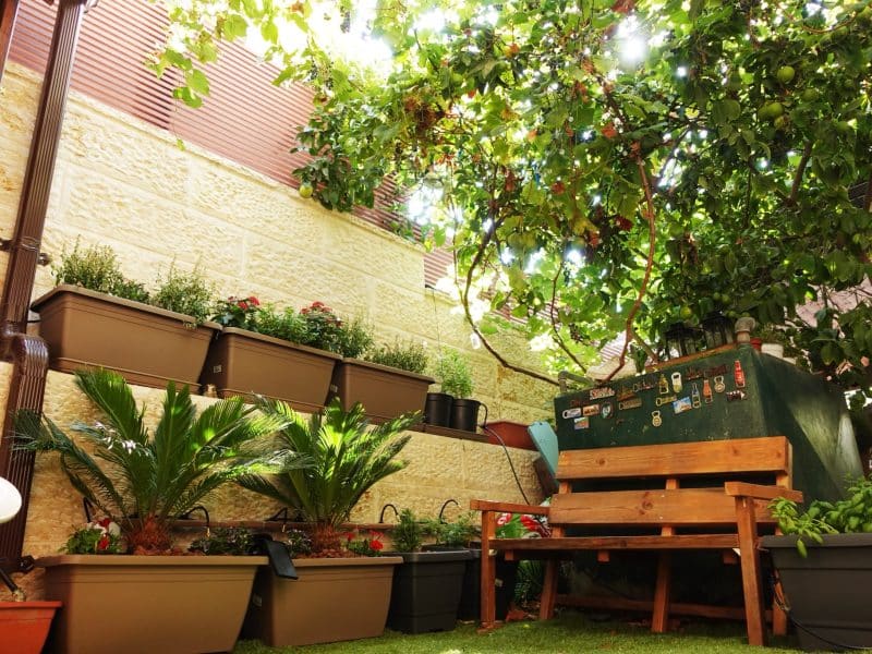 יחידת נופש לשבת בגבעת המבתר, ירושלים — גינה ושקט