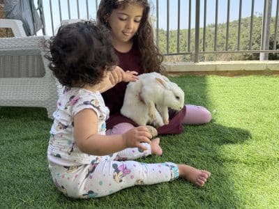 דירת גן לשבת ברמה ד, בית שמש — חצר ענקית ונוף ליער